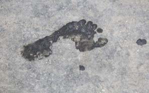Breaking: longstanding wet foot dry foot has been revoked